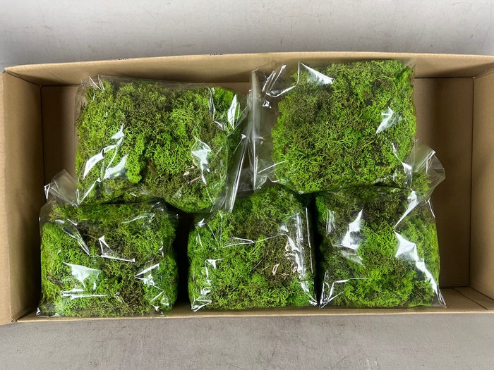 <h4>Moss Icelandic 500gr L.Green</h4>