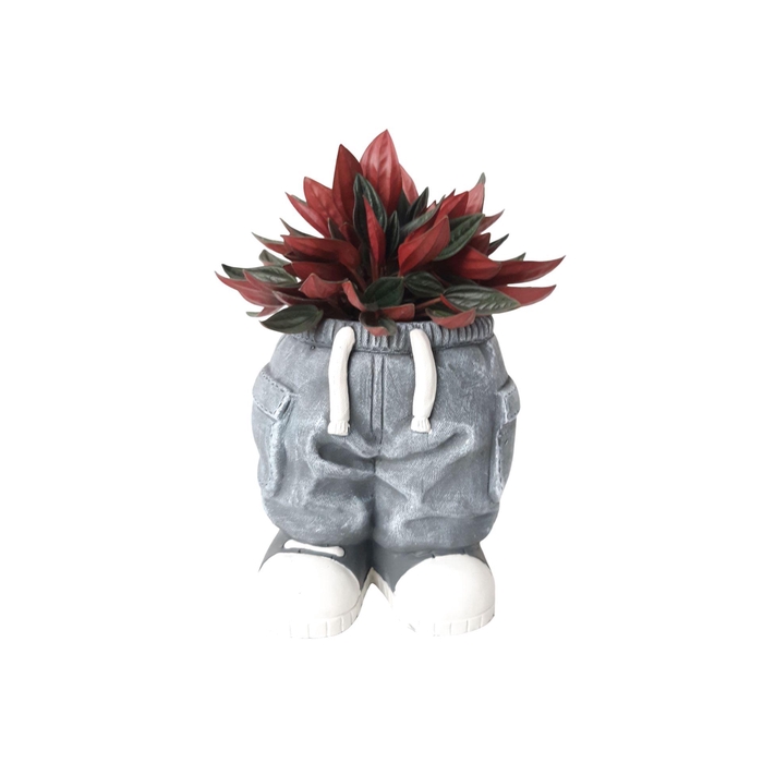 <h4>Arr.   Kamerplant Groen L%</h4>
