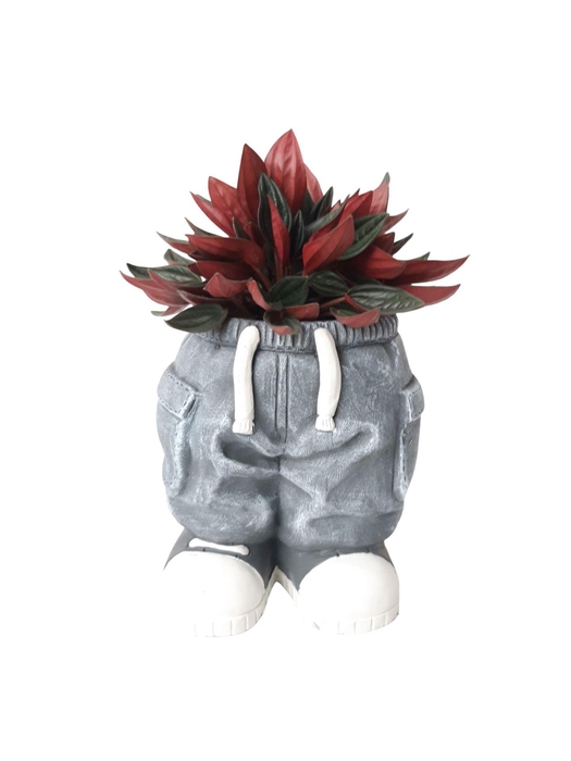 Arr.   Kamerplant Groen L%