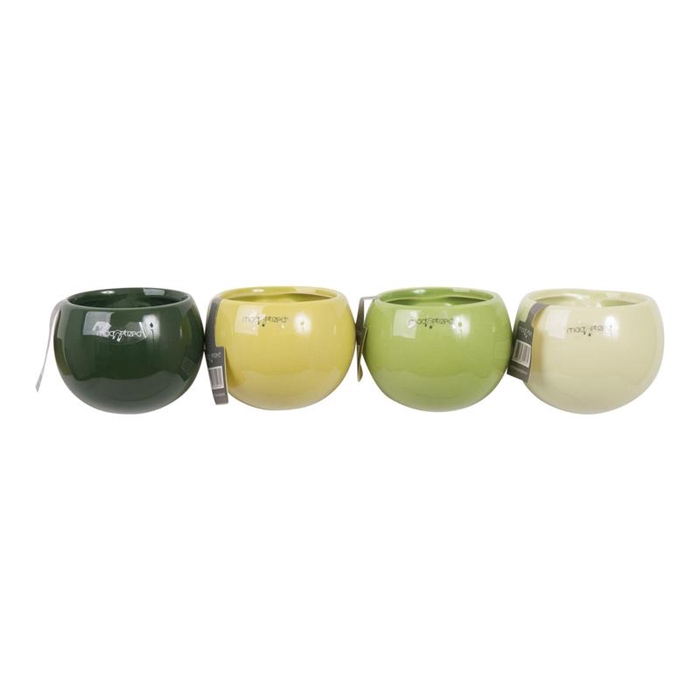 <h4>999174 Green Mix P6</h4>