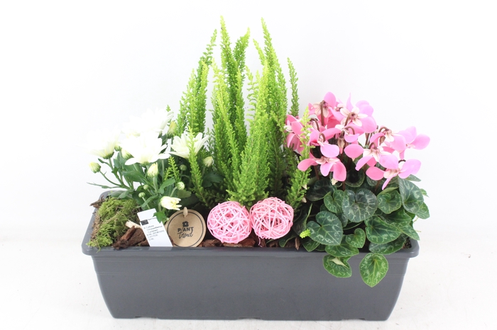 <h4>arr4 Outdoor PL - Kunststof balkon bak</h4>