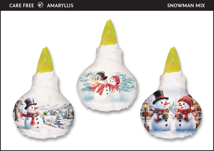 <h4>A.BULB of Art - 36cm Snowman Mix</h4>