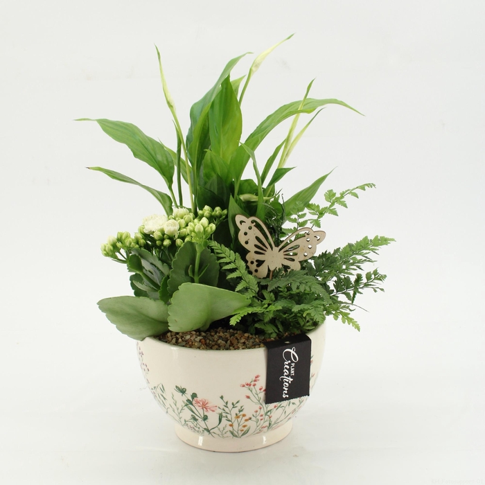 <h4>ESCR-2602W Essentials</h4>