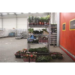 ***aanb 149 Stk Pot 8-19 Cm ***