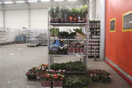 <h4>***aanb 149 Stk Pot 8-19 Cm ***</h4>