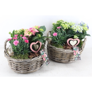 arr4 Outdoor MB - Hort. mix basket maeve XXL