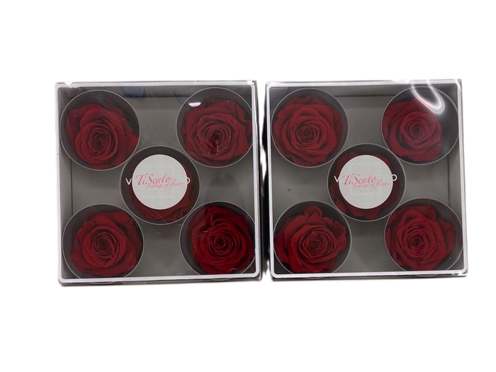 <h4>ARR ROSA POT H%</h4>