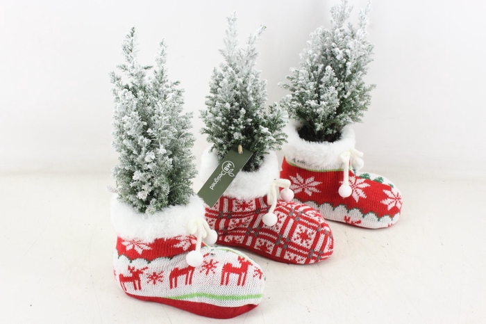 <h4>arr2 MB - Santa laars mix x6</h4>