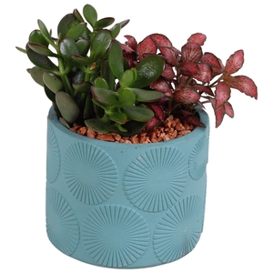 Year-Round Indoor Ceramic Exotic Vibes 464 ø14cm 2PP