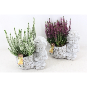 arr4 Outdoor JS - Ker. engel bakje