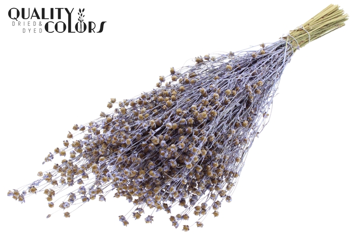 Lino Vlas p/bunch in poly Pearl Milka