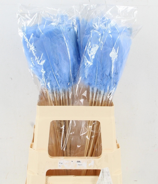 <h4>HUIS EN TUINDECO H%</h4>