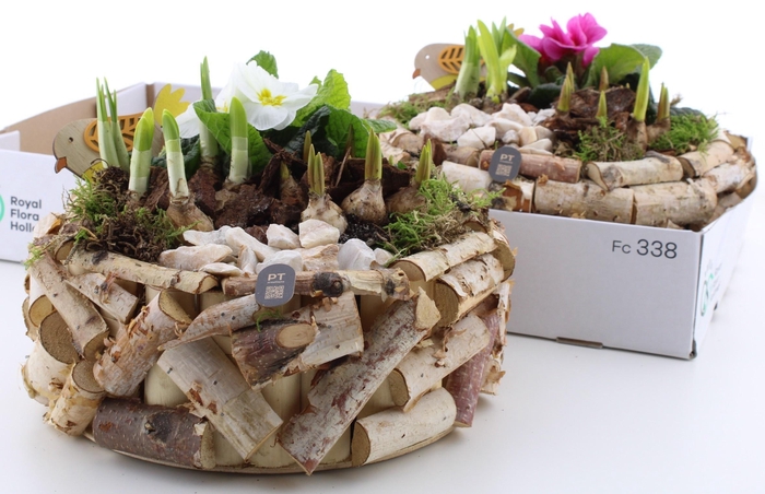 <h4>ARR PL IN SCHAAL</h4>