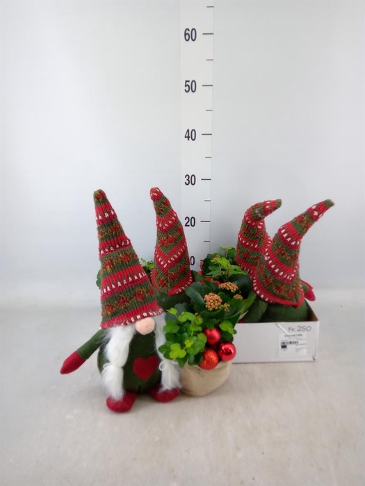 <h4>Arr. Kerst L%</h4>