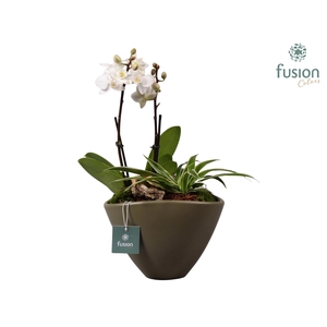 Halloween keramiek bootvorm wit D18,5