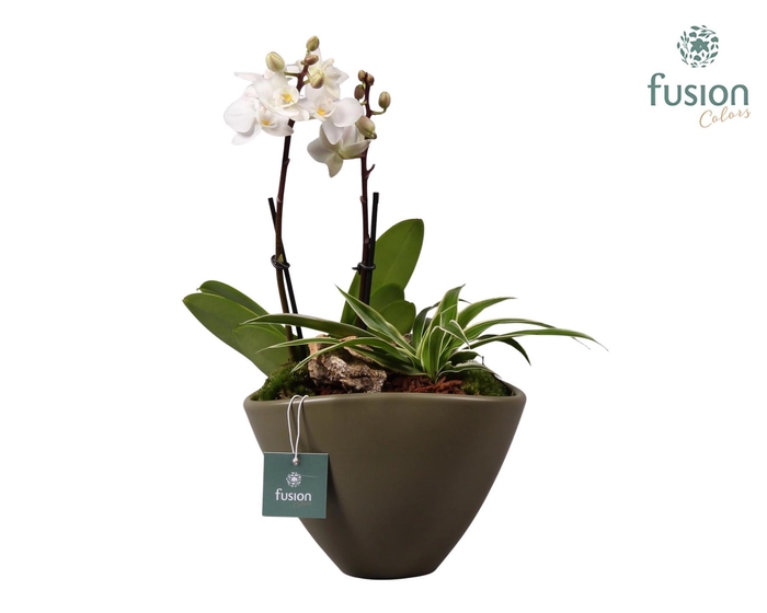 <h4>Halloween keramiek bootvorm wit D18,5</h4>