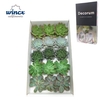 Echeveria Aqua Mix (wincx) Cutfl (5 Spcs) Wincx-10