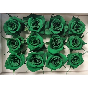 Ro Pres Mini Green Dark