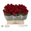 R Gr Red Naomi