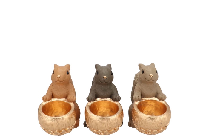 <h4>Jingle Woods Brown Mix Squirrel Sitting Ass 17x9x14cm</h4>