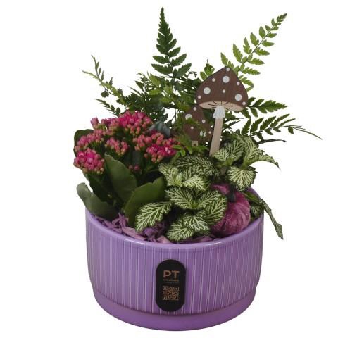 <h4>PTHI3202 Arrangement Autumn Indoor in keramiek schaal</h4>
