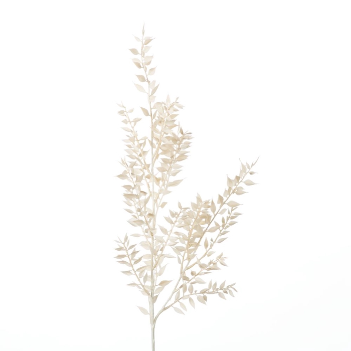 AF Ruscus Spray L94cm White