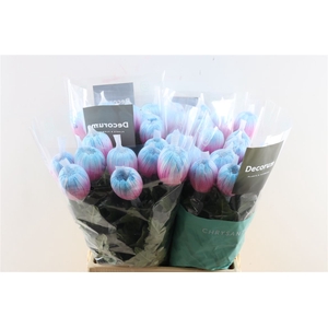 Chr G Kbh Antonov Bubblegum