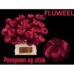 DEC PUMPKIN ON STICK BURGUNDY