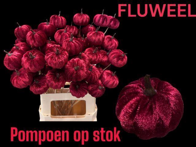 <h4>DEC PUMPKIN ON STICK BURGUNDY</h4>