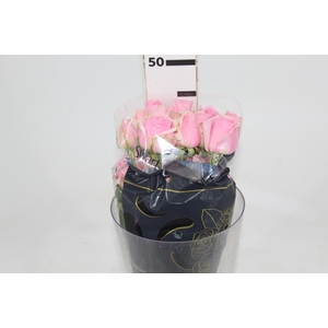 ROSA SWEET MEMORY 040 CM ESTUFA