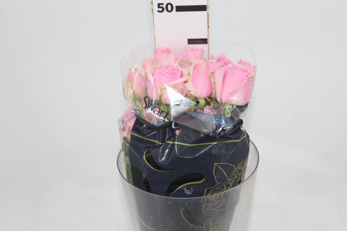 <h4>ROSA SWEET MEMORY 040 CM ESTUFA</h4>