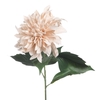 AF Dahlia Spider L84cm Creme