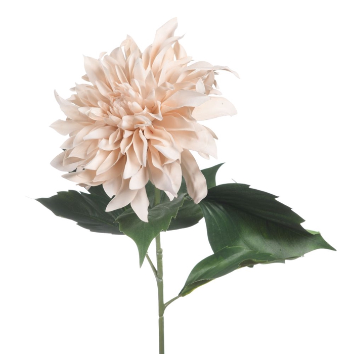AF Dahlia Spider L84cm Creme