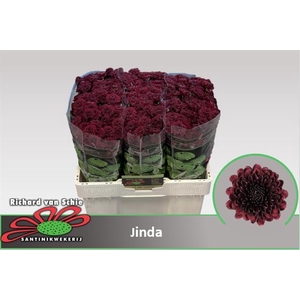 CHR S JINDA