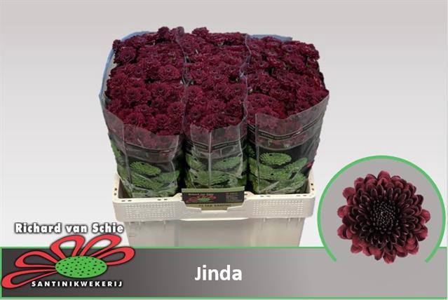 CHR S JINDA