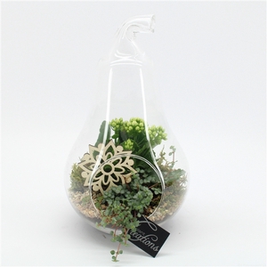 ESCR-2503W Essentials terrarium