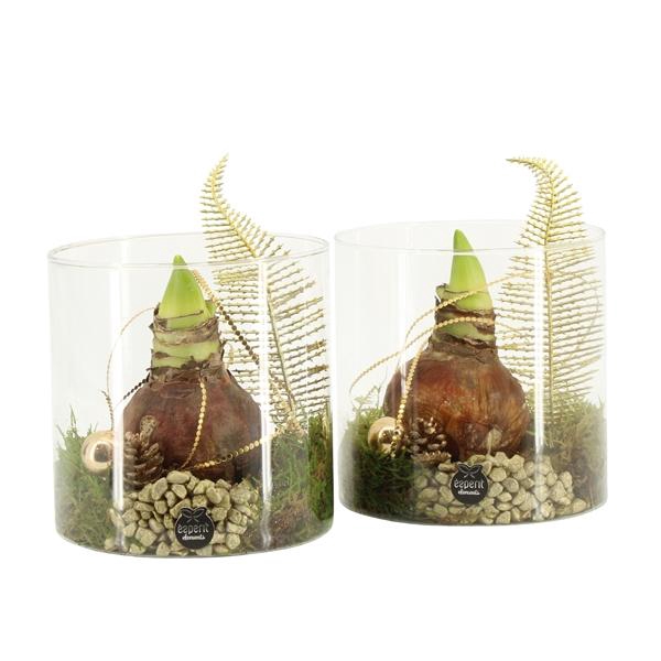 <h4>61921: X-mas arrangement</h4>