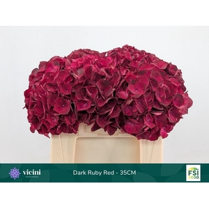 HYDR M MAG DARK RUBY