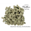CHR S DUSTY ARTICHOKE