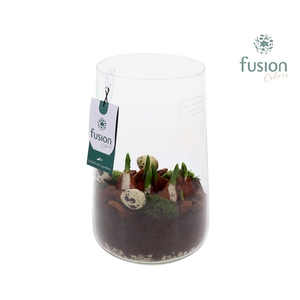 Green Bottle Deline Large Pasen met Tulp