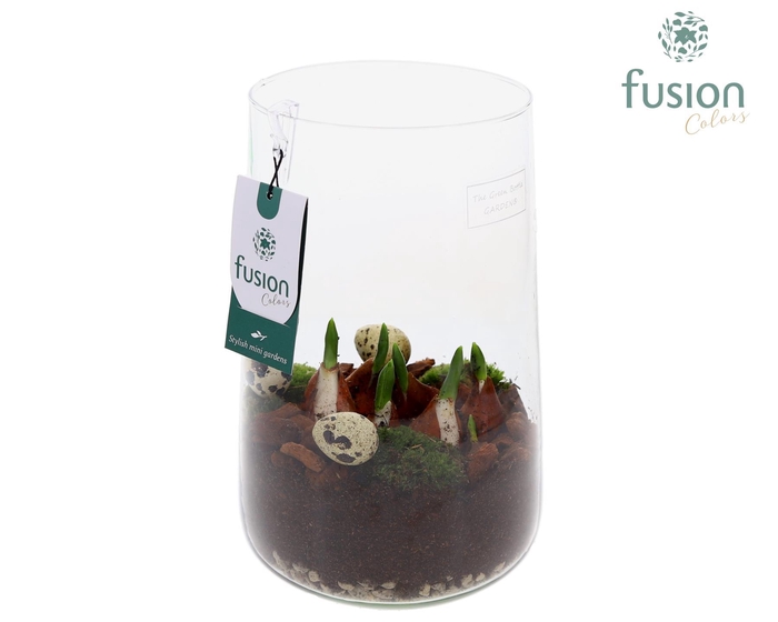 <h4>Green Bottle Deline Large Pasen met Tulp</h4>