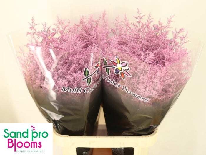 <h4>LIM OV KLB H%</h4>