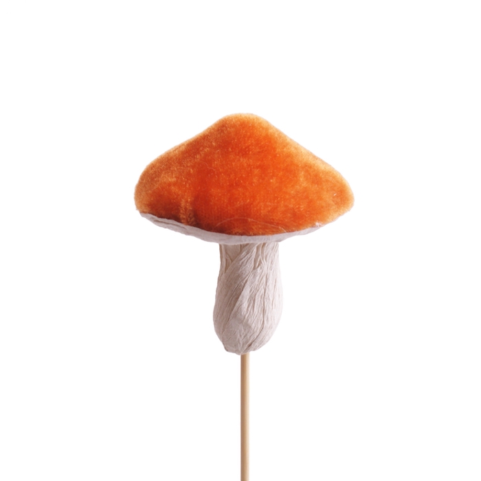 <h4>Autumn 10cm Mushroom 7cm</h4>