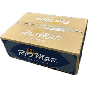 LEDERVAREN JUNIOR RIO MAR