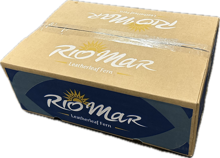 LEDERVAREN JUNIOR VACUUM RIO MAR