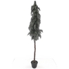 Cedar Cone Tree on Stem in Pot Green XM660036GRN
