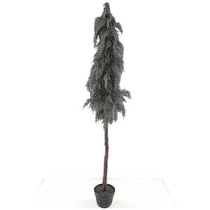Cedar Cone Tree on Stem in Pot Green XM660036GRN