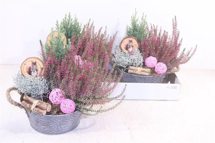 <h4>ARR TUINPLANTEN</h4>