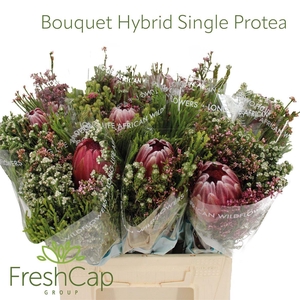 Bouquet Hybrid Single Protea