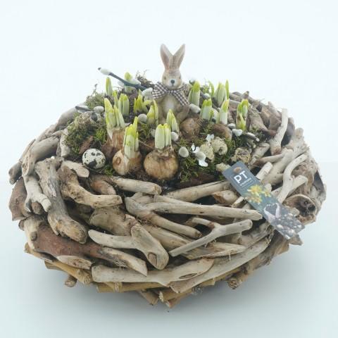 <h4>CC266 Arrangementen kamerplanten</h4>